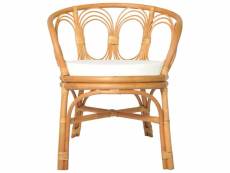 Vidaxl chaise à diner avec coussin marron clair rotin naturel et lin