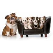 Affiche deco famille de bulldogs anglais, 60x40cm - made in France - Marron