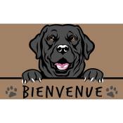 Btb Tapis Benoit - tapis coco 40X60 bienvenue chien
