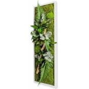 Flowerbox - Tableau végétal stabilisé nature Pano 20 x 70 cm - Blanc (cadre)