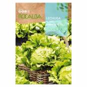 Rocalba - Seed Laitue grands lacs 118 100g