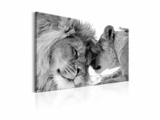 Tableau - lion's love-60x40 A1-N6637