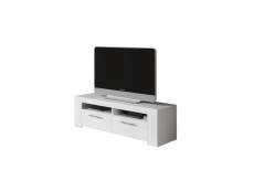 Ambit meuble tv 2 portes - decor blanc artic - l 120 x p 42 x h 40 cm FOTV6621A