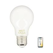 Ampoule led connectée éclairage multi-blancs, Filament, E27 A60 Opaque 7W cons., - KRFE806GOCCT - Kozii