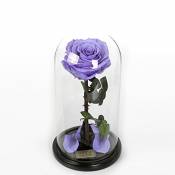 Boîte De Cadeau Fleur Immortelle De Roses/Verre éternelle