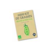 Les Petits Radis - Mini kit de graines bio de Benoît