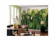 Papier peint tulipes (368 x 254 cm)