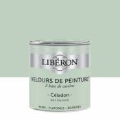 Peinture murs plafonds et boiseries Velours de peinture vert celadon Liberon 0 5L