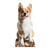 Figurine en carton chien Welsh Corgi Pembroke - chien