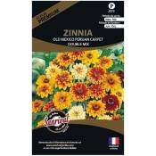Sanrival Premium - Graines de fleurs premium zinnia old mexico persian Carpet double nain