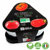 Radis Et Capucine - Plateau trio pots zinc - Tomates