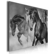 Tableau cheval sauvage en plein galop, 80x50cm - Noir