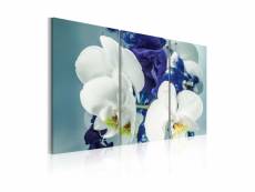 Tableau - orchidées chimériques-90x60 A1-N2386-DK