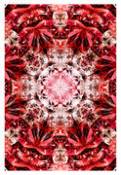 Tapis Crystal Fire / 300 x 200 cm - Moooi Carpets rouge en tissu