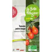 Ecodis - Tomate cerise poire rouge 0,15 g