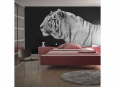 Papier peint intissé animaux tigre blanc taille 200 x 154 cm PD13267-200-154
