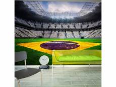 Papier peint intissé hobby brazilian stadium taille