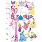Ag Art - Stickers Toise Princesse Disney