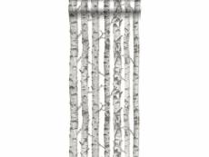 Papier peint troncs de bouleau gris chaud clair - 138889