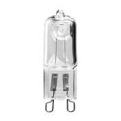 Ensoleille - Ampoules Halogènes G4, Lampe de Base