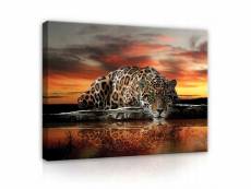 Impression sur toile jaguar animal 100x75 cm xxl tableau