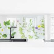 Micasia - Crédence adhésive - Herbs And Flowers ii Dimension HxL: 80cm x 280cm Matériel: Smart