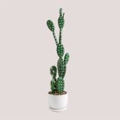 Sklum - Cactus Artificiel Opuntia 60 cm ↑60 cm -