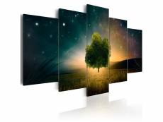 Tableau valley of stars taille 100 x 50 cm PD9921-100-50