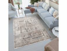 Tapiso feyruz tapis salon anthracite gris beige vintage bordé 160x230 S756B SHRINK ANTHRACITE 1,60-2,30 FEYRUZ FFR