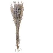 Beliani - Bouquet de Fleurs Séchées Décoratives Préservées 70 cm Violet et Vert Nawarra - Marron