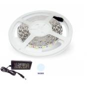 Housecurity - 300 led 5050 strip strip ip 20 5m blanc froid light alimentation 2A