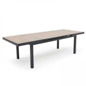 Table de salle à manger - 260 x 100 x 75 cm - Aluminium
