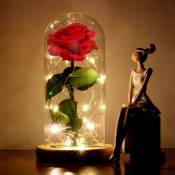 Xichao - La Rose Eternelle et lumière led "Belle et