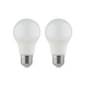 Ampoule LED XXCELL Standard - E27 équivalent 100W x2 - Blanc