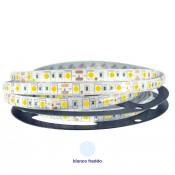 Housecurity - smd 5050 300 led strip 5M metres led strip waterproof coil cold
