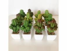 Pack 12 cactus cardon artificiels assortis avec pot en céramique