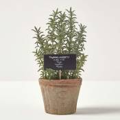 Plante aromatique artificielle en pot, Thym - Marron,