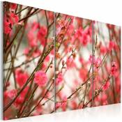 Tableau branches du cerisier - 60 x 40 cm - Rose, Noir,