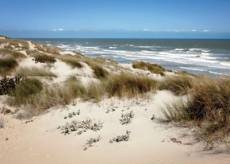 Toile plage dunes 60 x 80 cm
