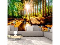Papier peint intissé paysages marvelous forest taille 200 x 140 cm PD14304-200-140
