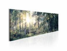Tableau morning magic taille 150 x 50 cm PD9777-150-50
