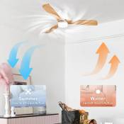 Lumière de ventilateur de plafond avec télécommande, Ventilateur de plafond avec lumière create, Ventilateur de plafond avec lumière variateur 3