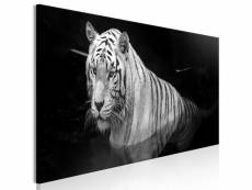 Tableau shining tiger 1 pièce black and white narrow