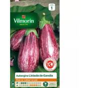 Vilmorin - Sachet graines Aubergine Listada de Gandia
