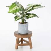 Coavas - Petit tabouret en bois pour plantes - Support rond en bois pour pot de fleurs - Pour intérieur ou extérieur - Décoration moderne (1)