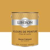 Peinture murs plafonds et boiseries Velours de peinture jaune calisson Liberon 2 5L