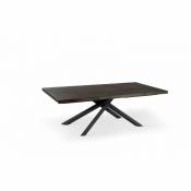 Table extensible 200-300 x 100 cm - Spike