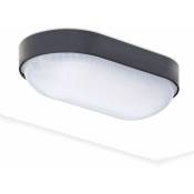 Aiskdan - Lampe led comme éclairage de plafond pour sous-sol lampe ovale lighting lampe 4000K 800lm blanc neutre pour sous-sol lampe de plafond lampe