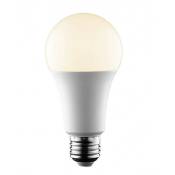 Ampoule LED E27 14W A65 1400 lumens - Blanc Chaud -