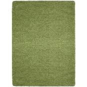 Life - Tapis Shaggy Uni Poils Longs Tapis Salon Chambre Couloir (Vert - 100x200cm)